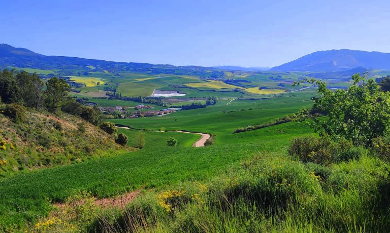 Albergue Mesón del Camino Enériz