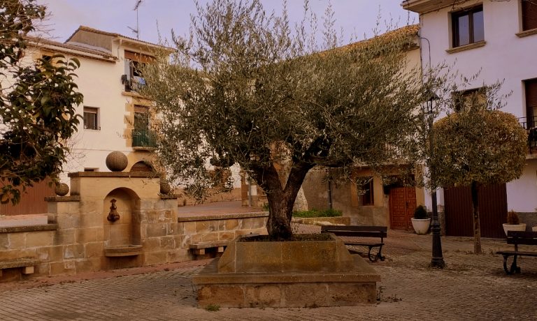 Albergue Mesón del Camino Enériz